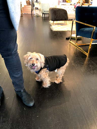 Furniture Store «Jonathan Adler», reviews and photos, 1267 Wisconsin Ave NW, Washington, DC 20007, USA