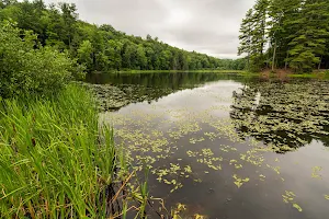 Lake Bray image