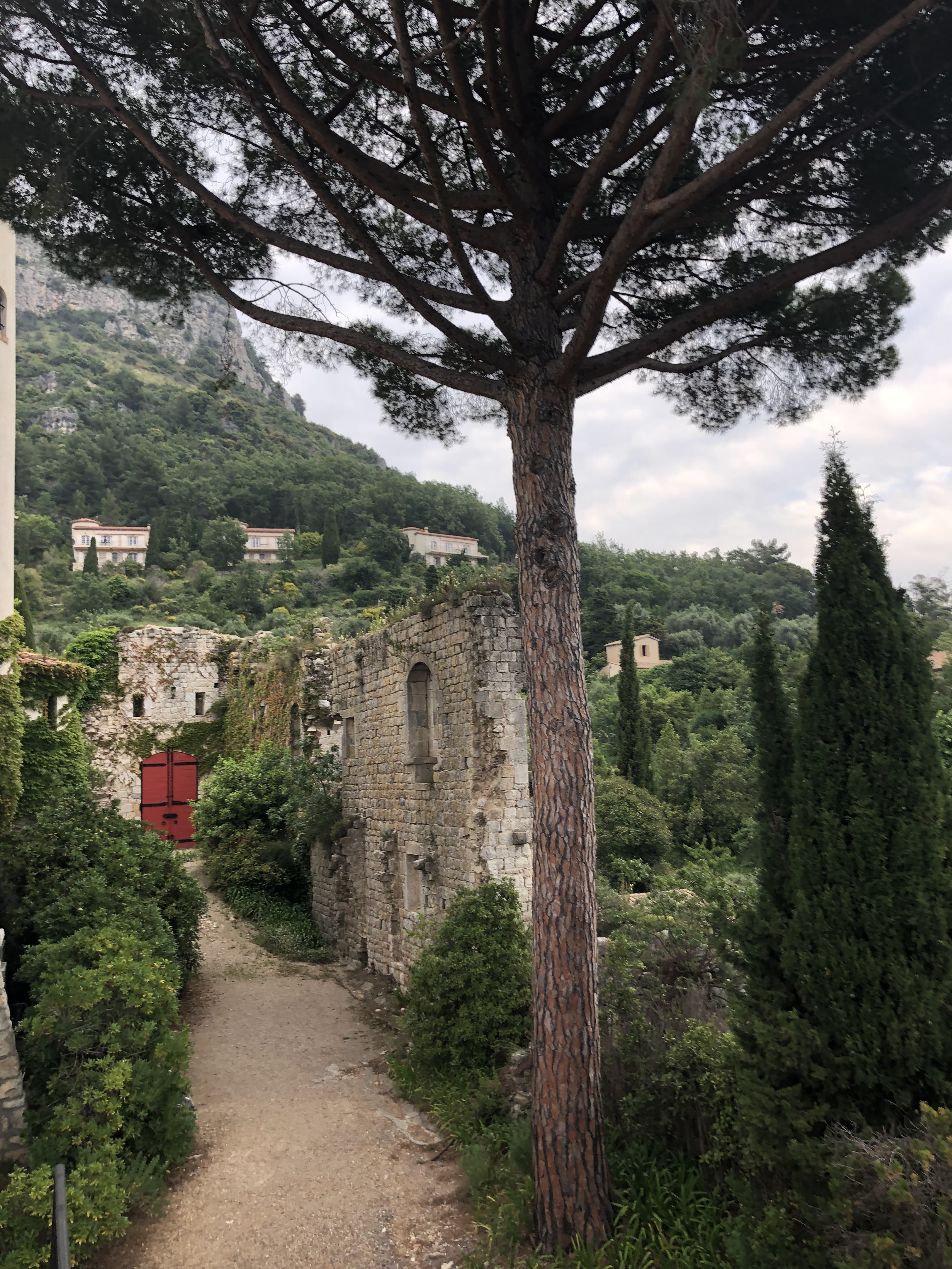 Photo n° 8 de l'avis de Ed. fait le 17/06/2019 à 20:38