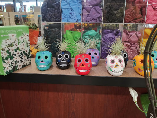 Shopping Mall «Vineyard Town Center Shopping Center», reviews and photos, 451 Vineyard Blvd, Morgan Hill, CA 95037, USA