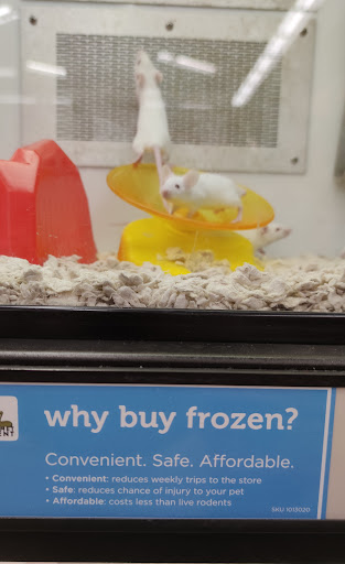 Pet Supply Store «Petco Animal Supplies», reviews and photos, 1243 N Peachtree Pkwy, Peachtree City, GA 30269, USA