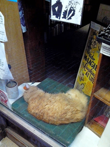 Used Book Store «Commonwealth Books», reviews and photos, 9 Spring Ln, Boston, MA 02109, USA