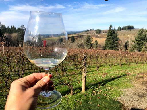 Vineyard «Archer Vineyard, Winery & Tasting Room», reviews and photos, 32230 NE Old Parrett Mountain Rd, Newberg, OR 97132, USA