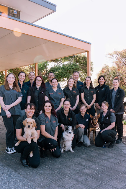 Vets First: Riverport Veterinary Hospital