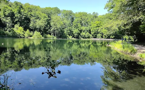Lily Pond, Mill Creek Park image
