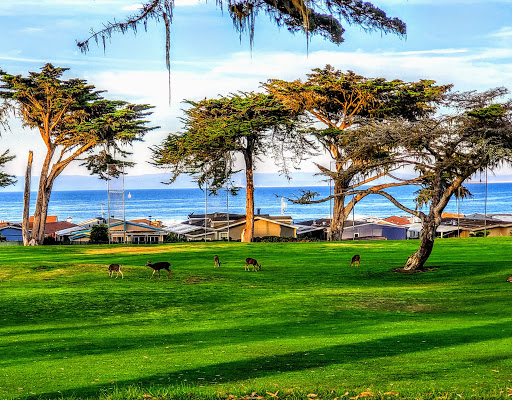 Golf Course «Pacific Grove Golf Links», reviews and photos, 77 Asilomar Ave, Pacific Grove, CA 93950, USA