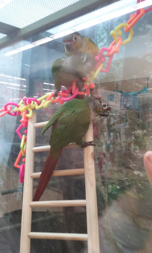 Pet Supply Store «Petco Animal Supplies», reviews and photos, 5975 20th St, Vero Beach, FL 32966, USA