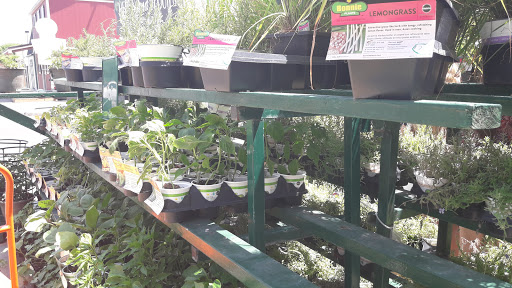 Home Improvement Store «The Home Depot», reviews and photos, 415 E Hwy 377, Granbury, TX 76048, USA