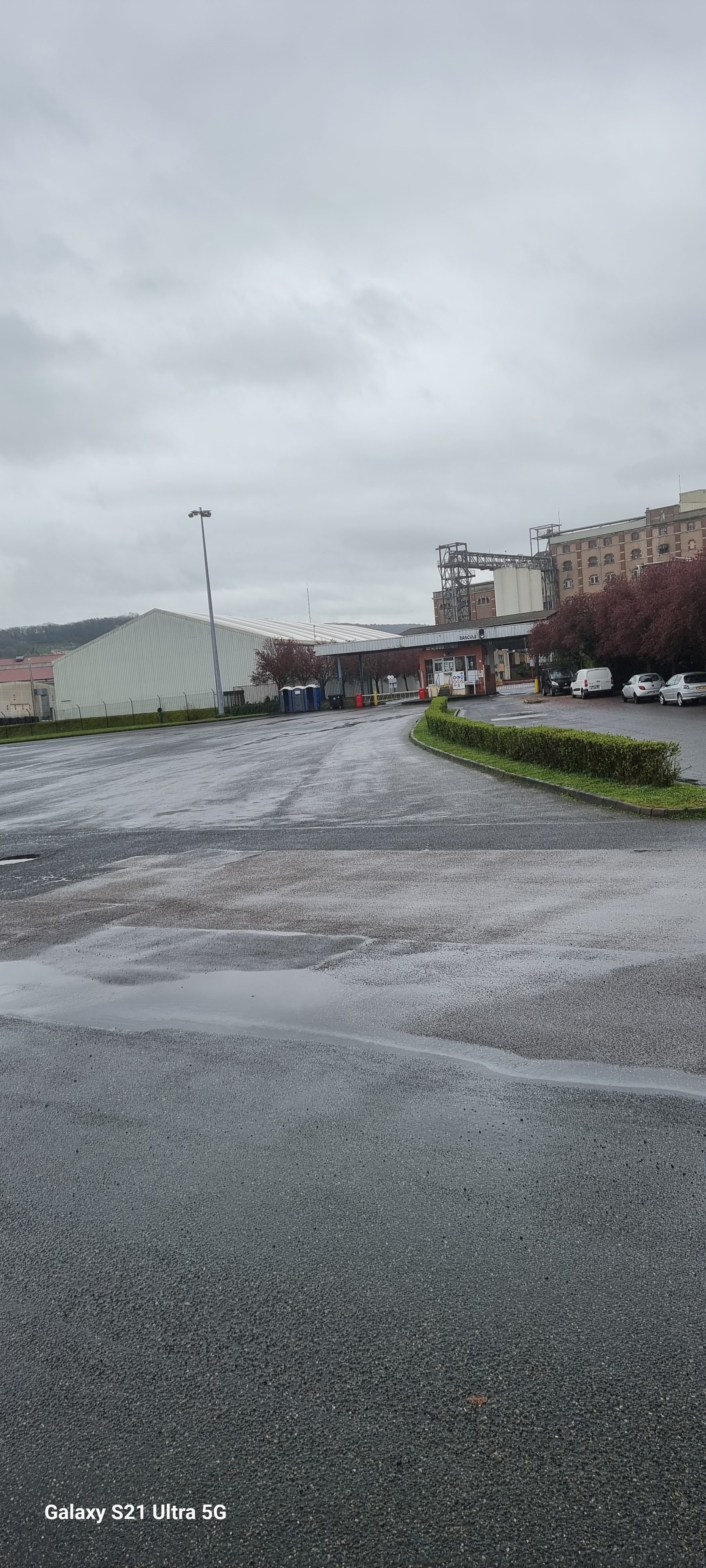 Photo n° 1 de l'avis de PELUSO. fait le 29/03/2024 à 20:30