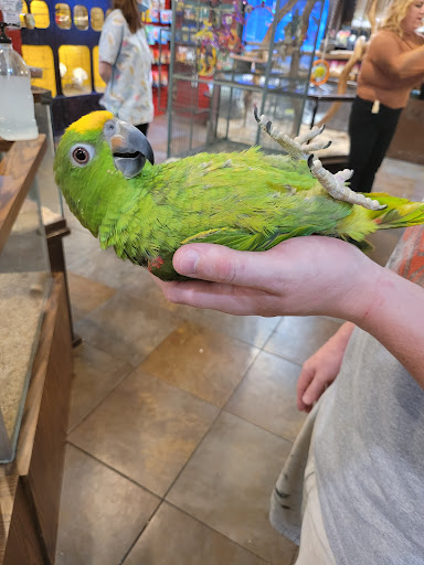 Pet Store «Pet Kingdom», reviews and photos, 4650 S Cleveland Ave, Fort Myers, FL 33907, USA