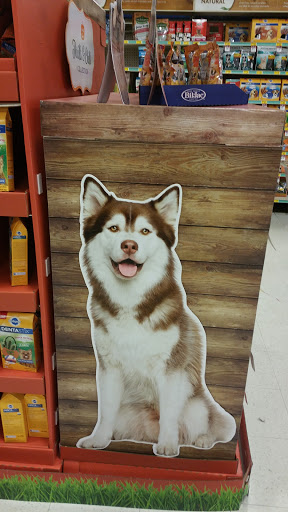 Pet Supply Store «PetSmart», reviews and photos, 475 Bank St, Waterbury, CT 06708, USA