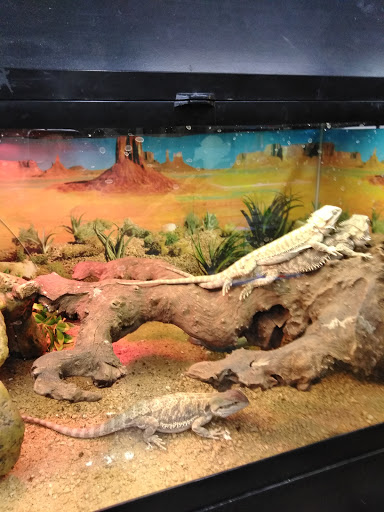 Pet Supply Store «Buckles Feed Depot & Pet Supply», reviews and photos, 220 S 4th St, Lafayette, IN 47901, USA