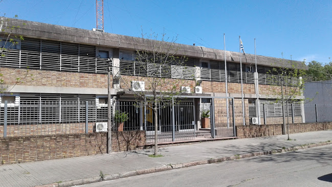 Dinamige, Hervidero 2861, 11800 Montevideo, Departamento de Montevideo, Uruguay