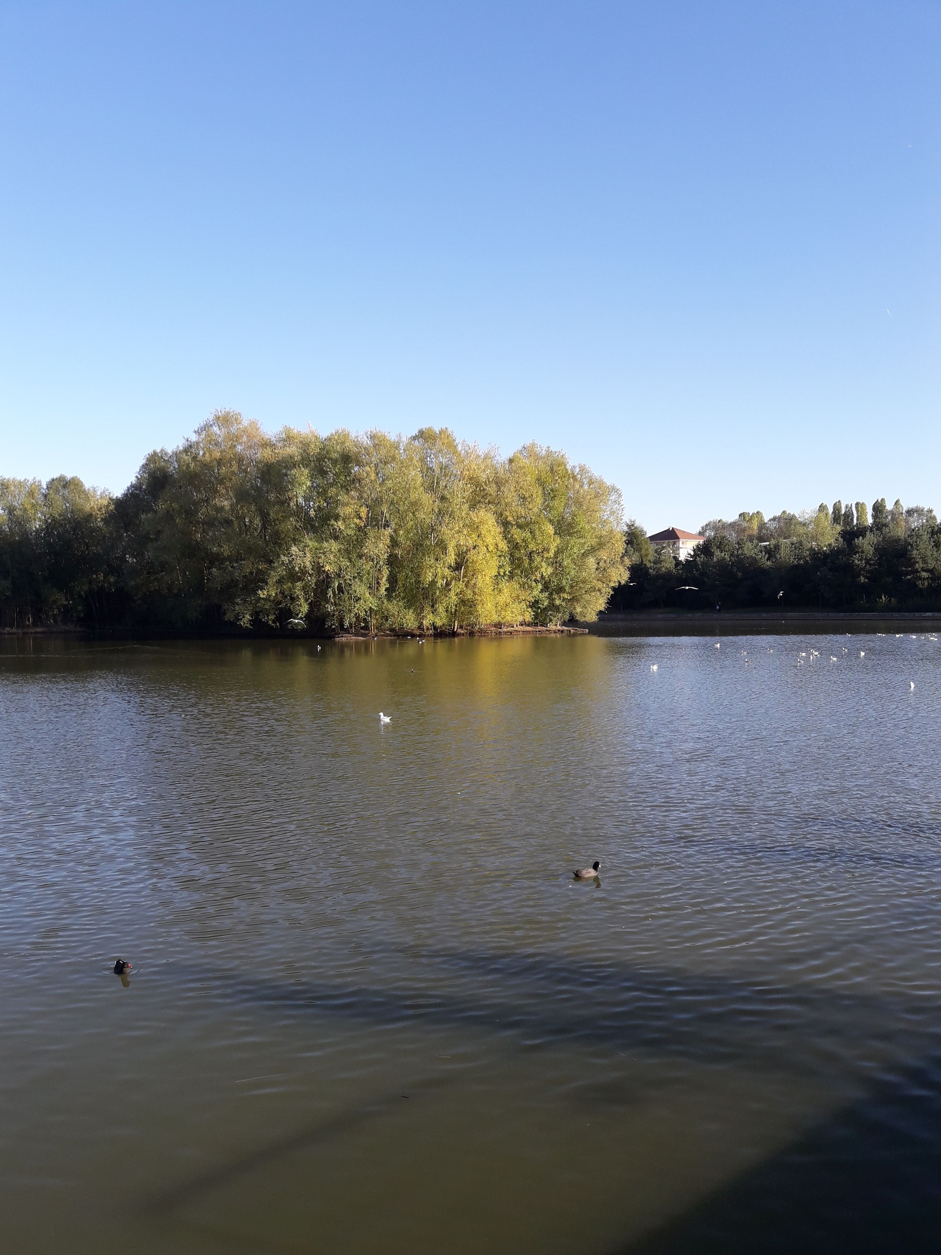 Photo n° 20 de l'avis de bridget.e fait le 21/10/2018 à 19:48