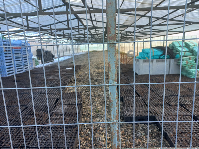 Vivero Forestal Dorotea (CONAF) - Natales