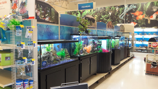 Pet Supply Store «Pet Supplies Plus», reviews and photos, 494 Westgate Dr, Brockton, MA 02301, USA