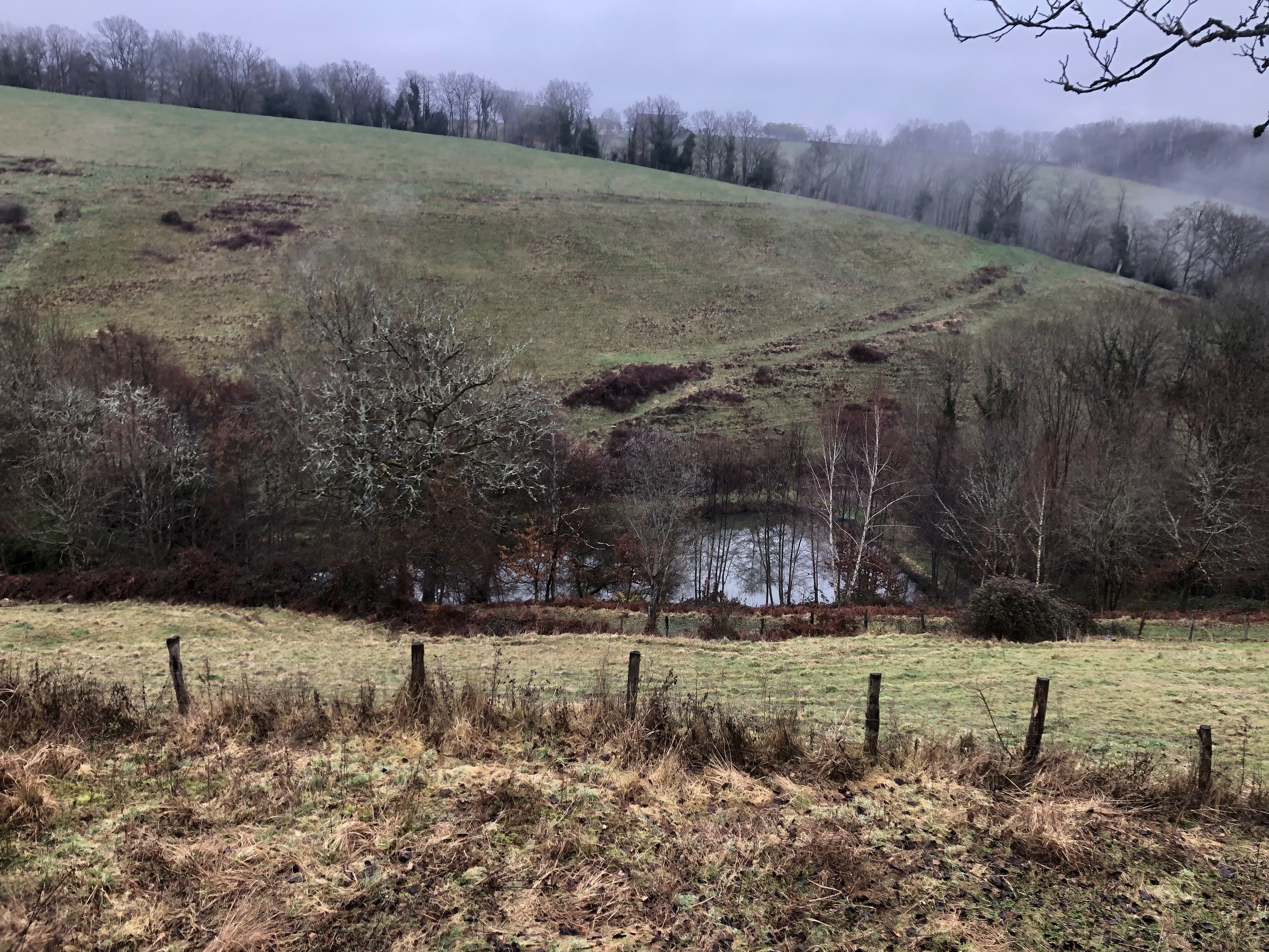 Photo n° 7 de l'avis de Geoffroy.. fait le 26/02/2022 à 10:34