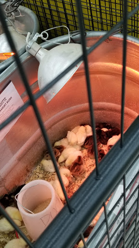 Home Improvement Store «Tractor Supply Co.», reviews and photos, 7047 Mechanicsville Turnpike, Mechanicsville, VA 23111, USA