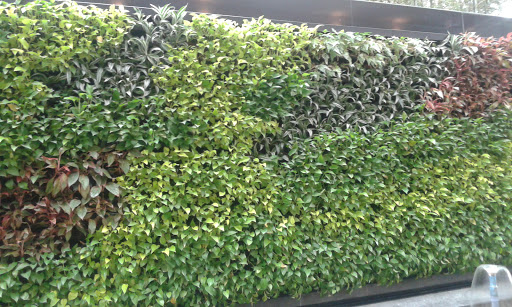 Hotel «Embassy Suites Chicago Downtown Magnificent Mile», reviews and photos, 511 N Columbus Dr, Chicago, IL 60611, USA