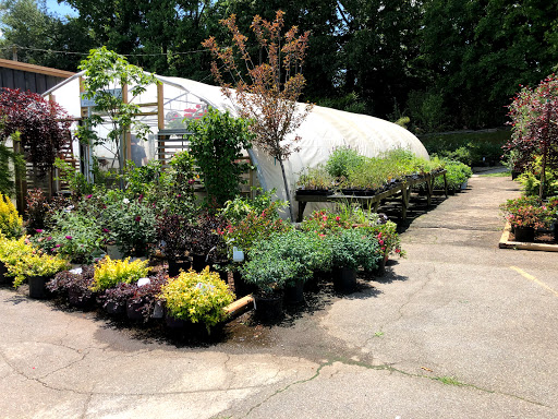 Plant Nursery «A Growing Concern Garden Center», reviews and photos, 1707 Spartanburg Hwy, Hendersonville, NC 28792, USA