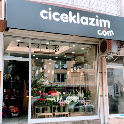 İzmir Balçova Renk Çiçekçilik