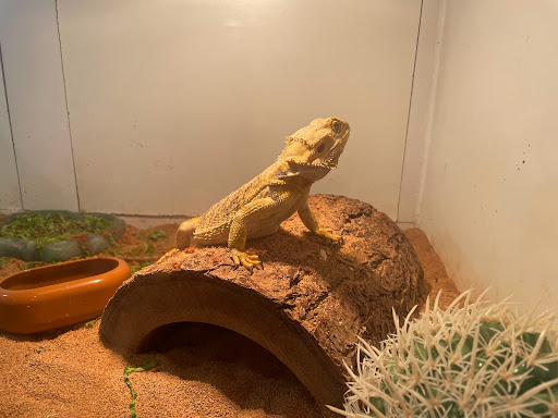 Pet Store «Miles of Exotics», reviews and photos, 8350 N Broadway, Kansas City, MO 64118, USA