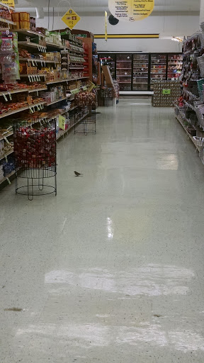 Grocery Store «Family Fare Supermarket», reviews and photos, 7402 N 30th St, Omaha, NE 68112, USA