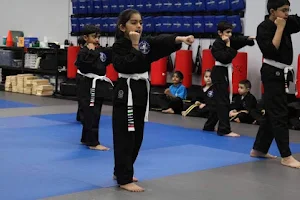 Master Peter's Academy of Martial Arts - Robbinsville image