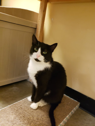 Pet Supply Store «PetSmart», reviews and photos, 3010 Brandywine Pkwy, Wilmington, DE 19803, USA