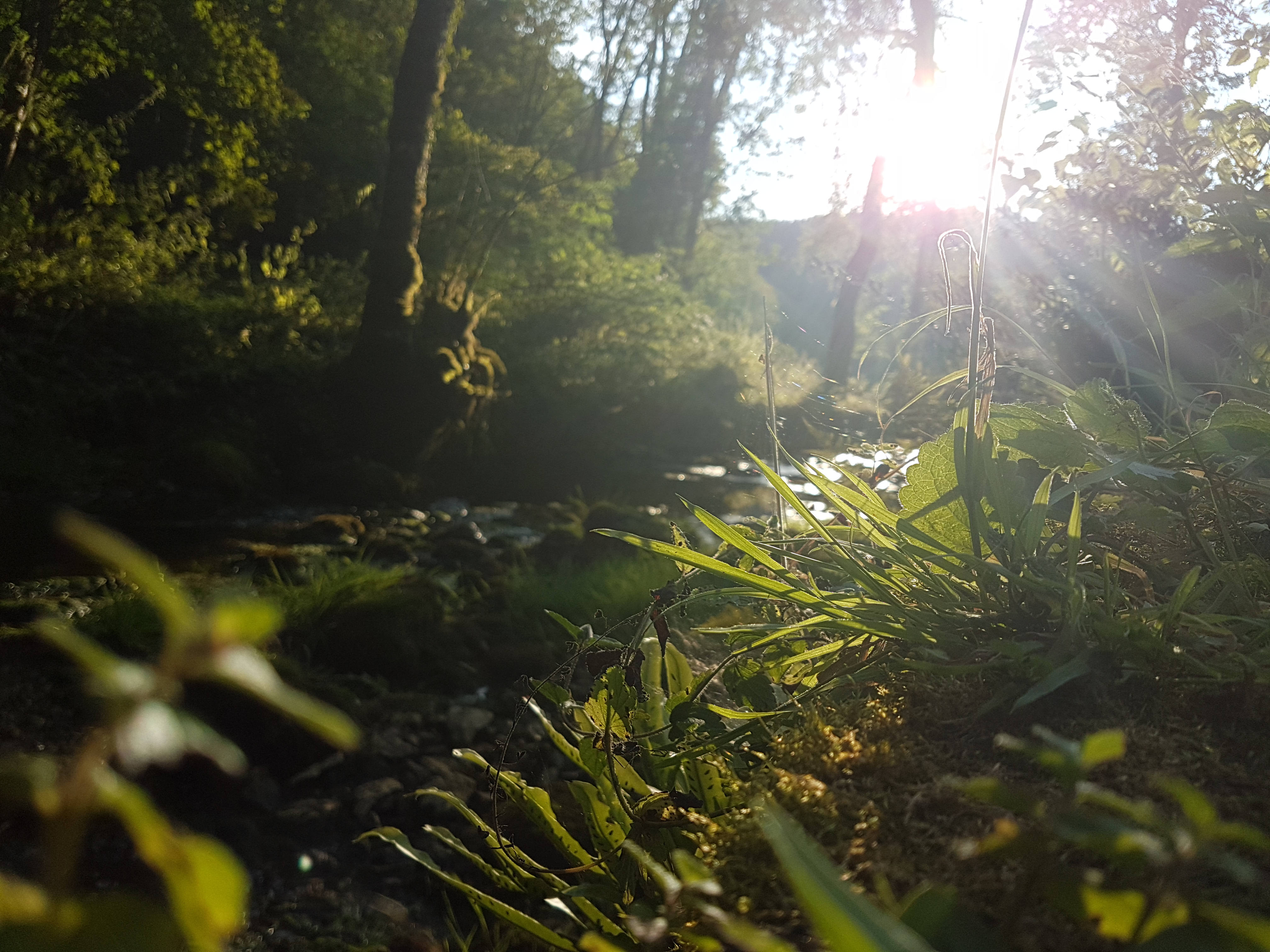 Photo n° 6 de l'avis de Stéphane.a fait le 19/08/2018 à 18:55