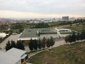 Marmara Üniversitesi Radyasyon Onkolojisi Anabilim Dalı