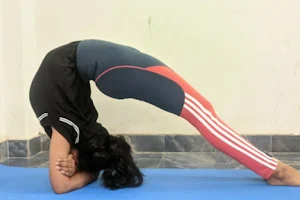 Shree Yoga Kendram image
