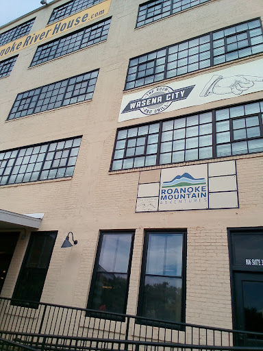 Roanoke Mountain Adventures, 806 Wasena Ave SW, Roanoke, VA 24015, USA, 