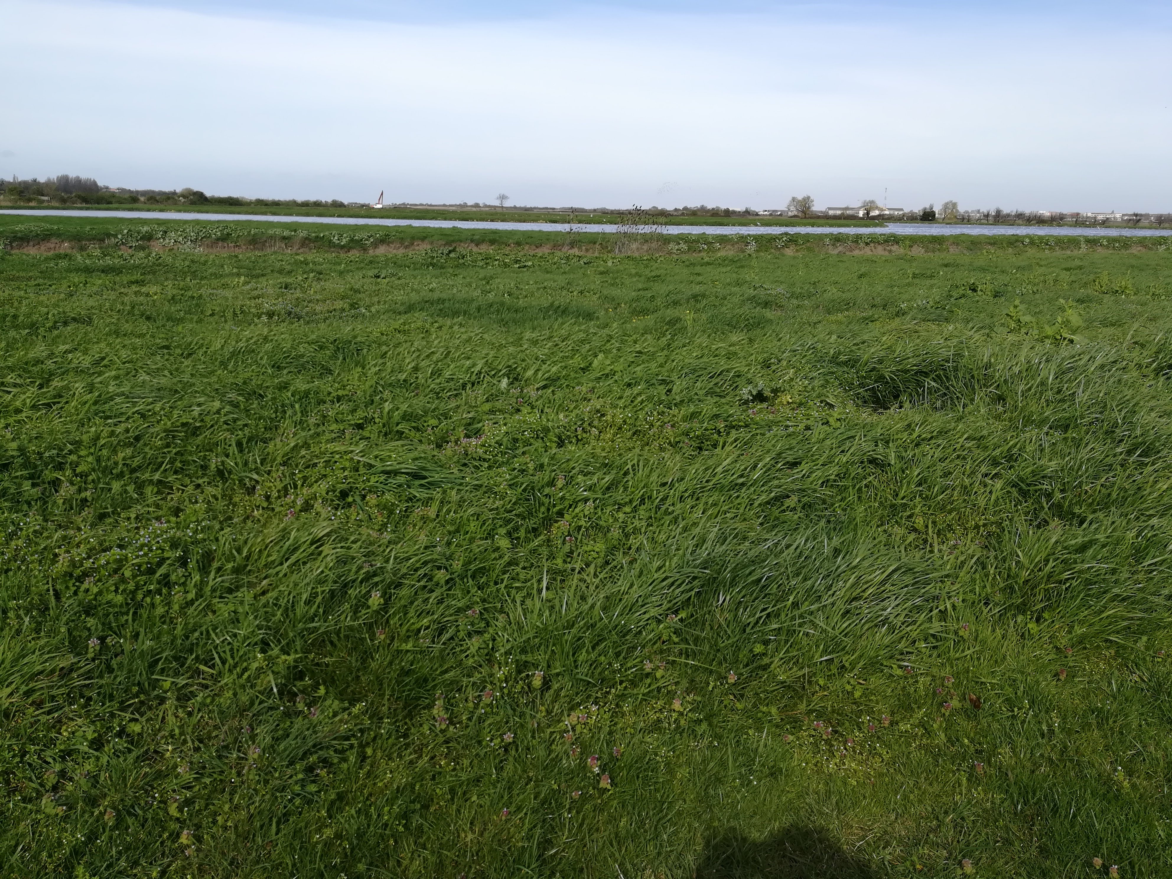 Photo n° 32 de l'avis de Nathalie.e fait le 12/03/2019 à 11:58