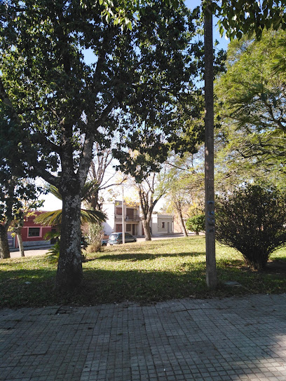 Plaza Aparicio Saravia