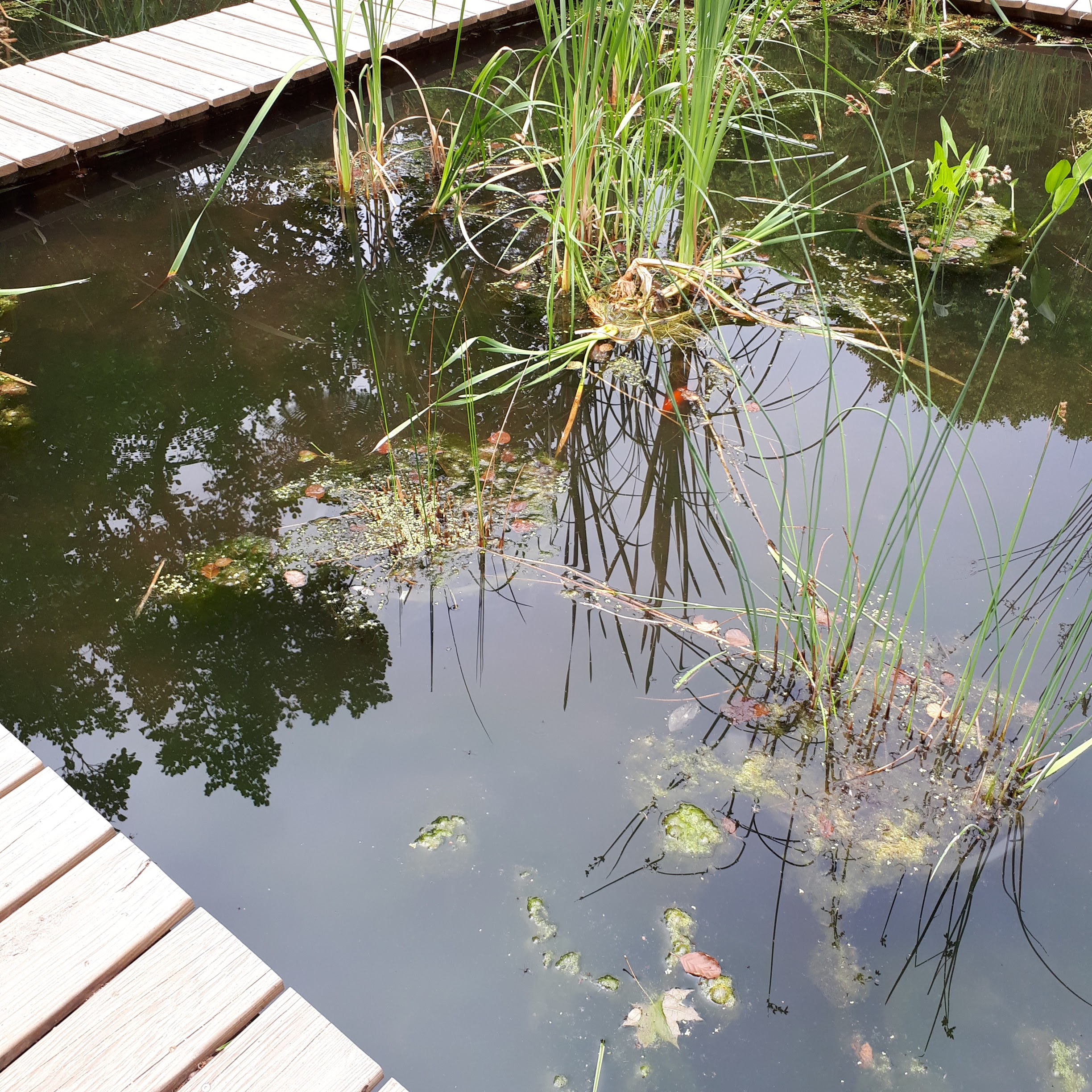 Photo n° 2 de l'avis de Cha.o fait le 09/07/2019 à 12:34