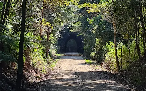 Northern Rivers Rail Trail: Crabbes Creek Station site image