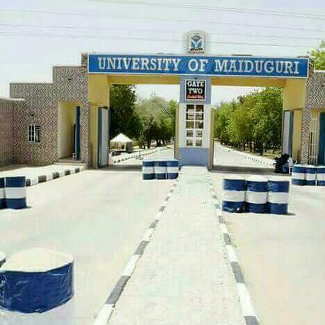University of Maiduguri, University of Maiduguri, Maiduguri, Nigeria, School, state Borno