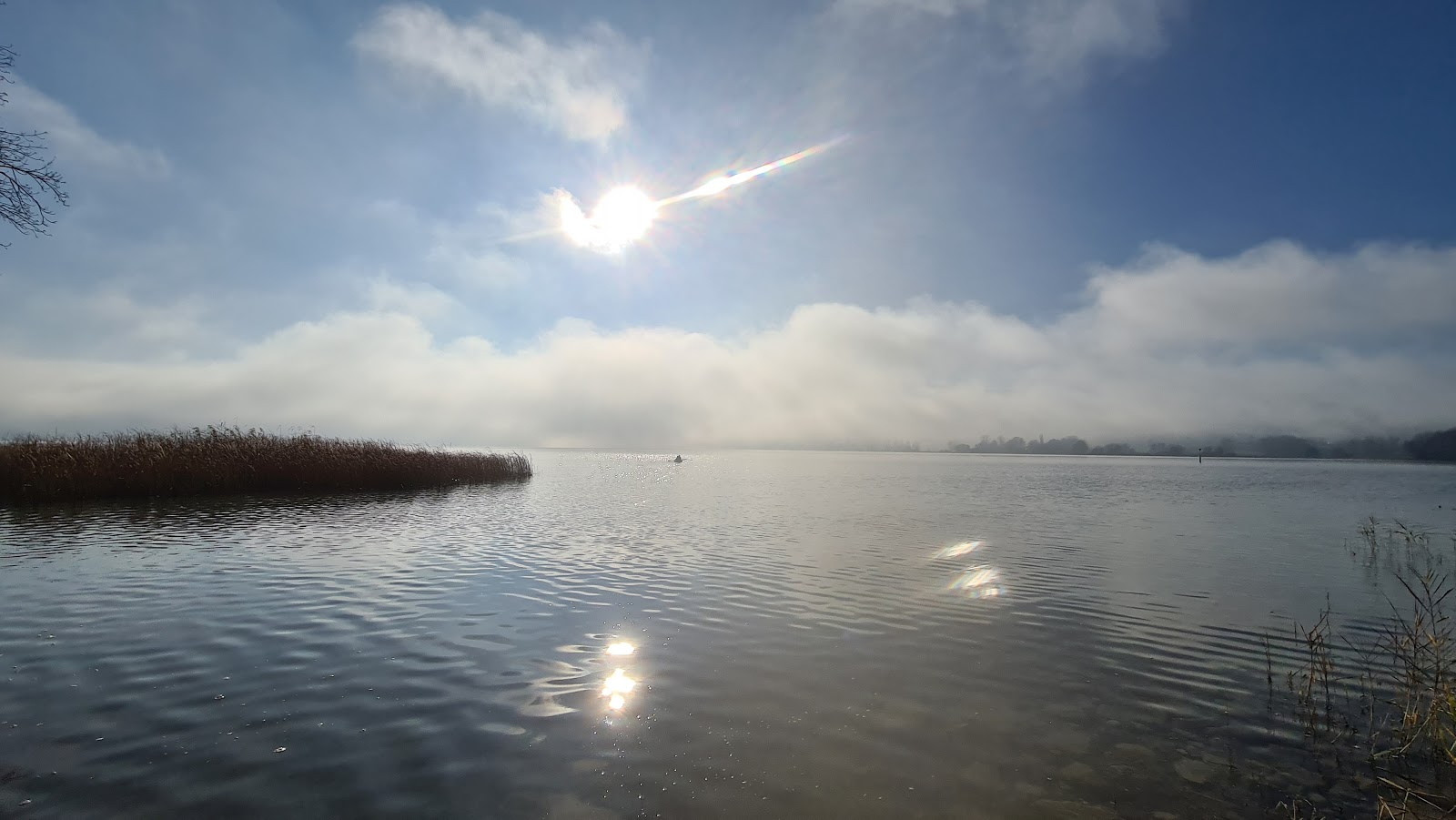 Foto de Strandbad Brestenberg con hierba superficie