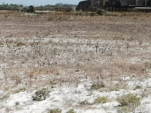 National Park «Fort Pickens», reviews and photos, 1400 Fort Pickens Rd, Pensacola Beach, FL 32561, USA