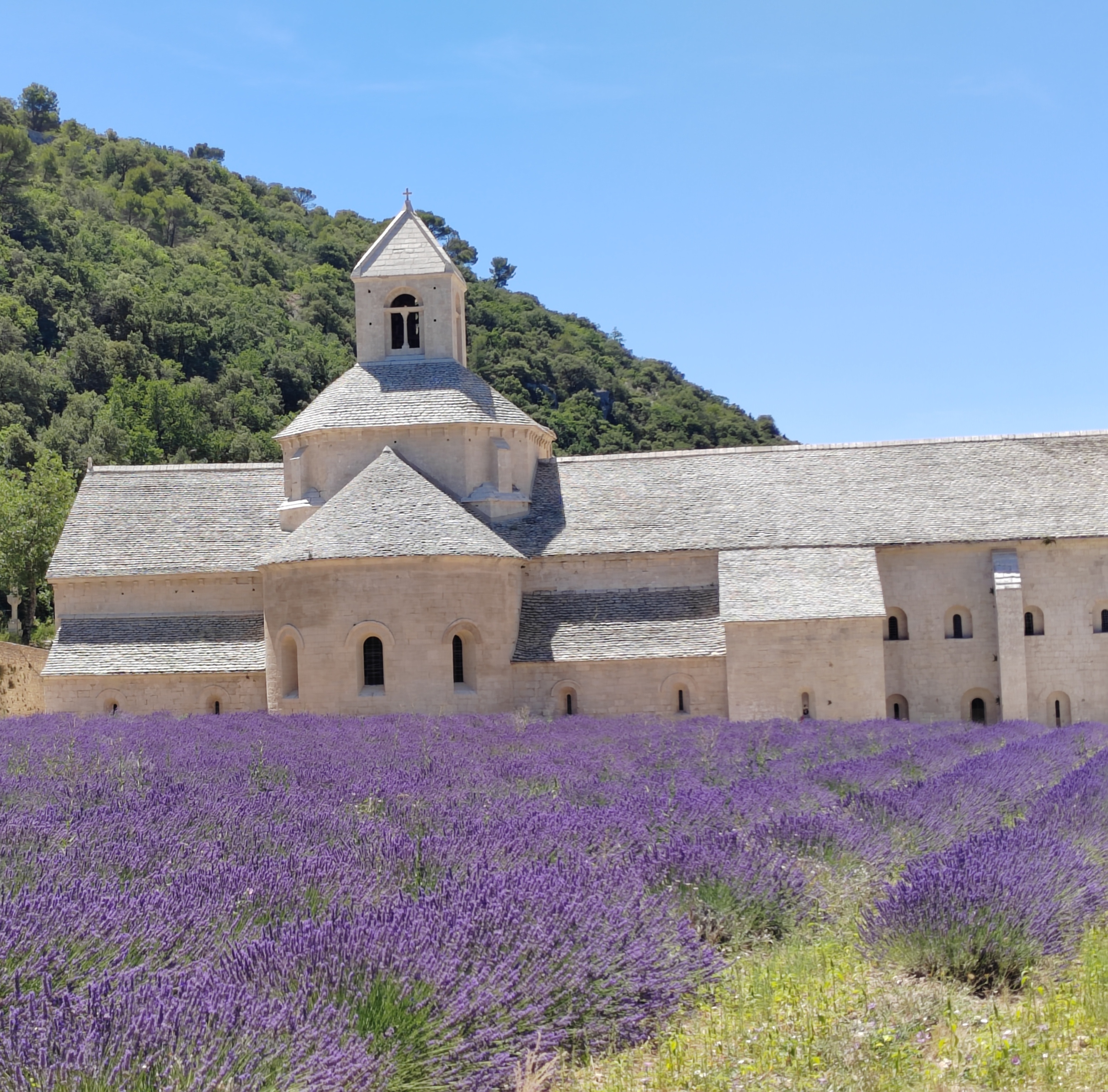 Photo n° 3 de l'avis de Stéphane.y fait le 24/07/2023 à 19:29