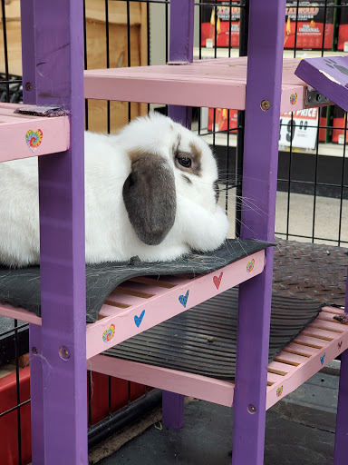 Department Store «Runnings of Brockport», reviews and photos, 4828 Lake Rd N, Brockport, NY 14420, USA