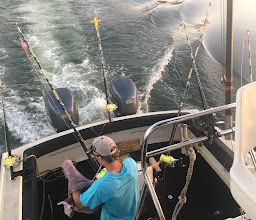 BLUE WATER CHARTERS - DURBAN photo
