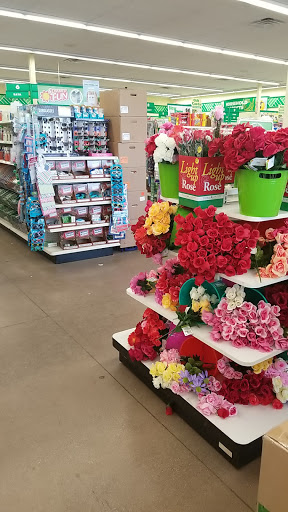 Dollar Store «Dollar Tree», reviews and photos, 713 E Main St, Brownsburg, IN 46112, USA