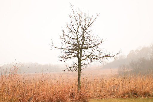 Education «River Bend Nature Center», reviews and photos, 1000 Rustad Road, Faribault, MN 55021, USA