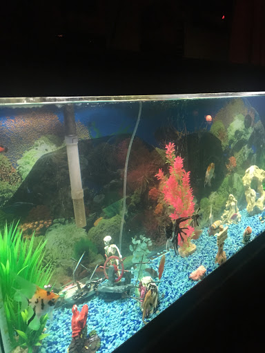 Tropical Fish Store «J B Tropical Fish», reviews and photos, 1950 N Black Horse Pike, Williamstown, NJ 08094, USA