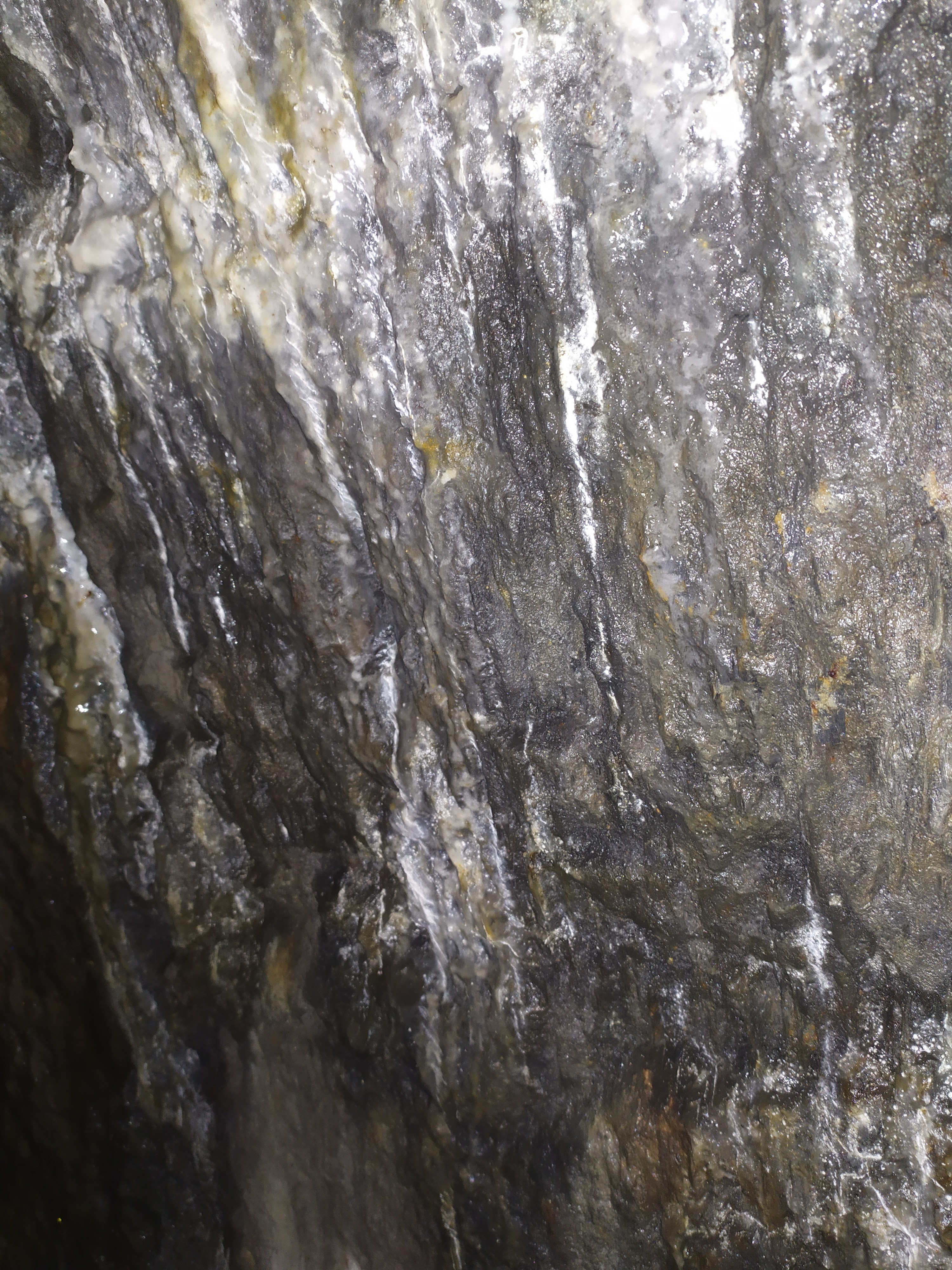 Photo n° 18 de l'avis de Céline.r fait le 20/02/2020 à 17:52