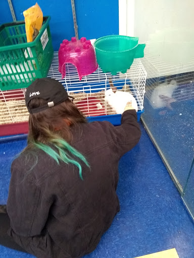 Pet Store «Petland Discounts - Elizabeth», reviews and photos, 27 Broad St, Elizabeth, NJ 07201, USA