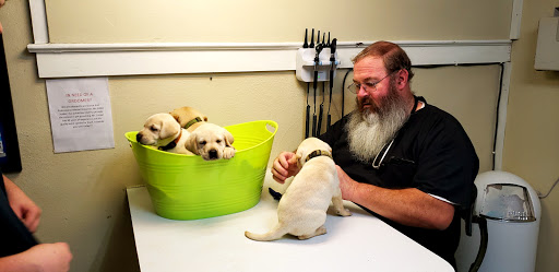 Animal Medical Service image