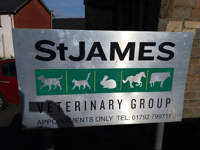 St James Veterinary Group Morriston - Veterinarian